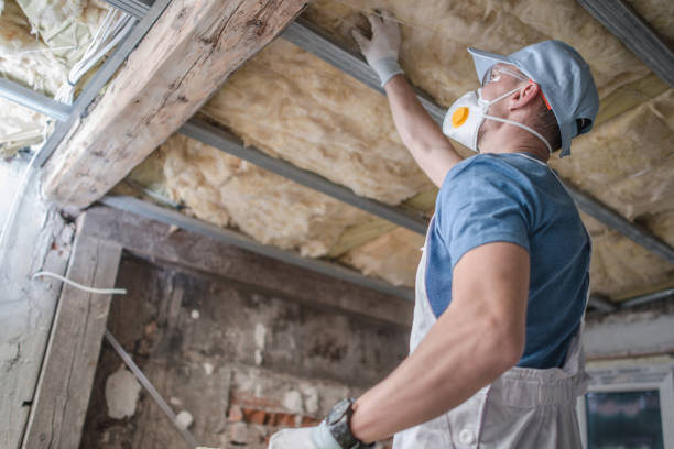 Best Local Insulation Services  in Portage, WI